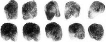 fingerprints
